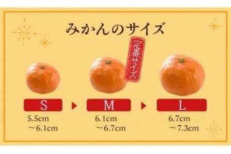 ≪今が旬!≫ 濃厚ハウスみかん『蜜ツ星』秀品 800g(Mサイズ8玉)みかん