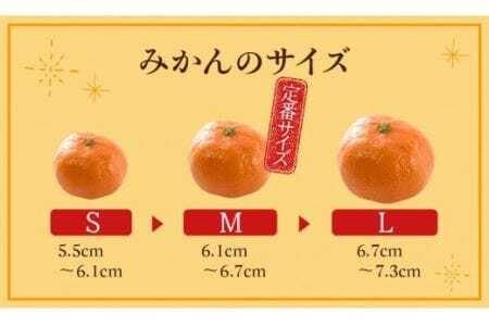 ≪今が旬!≫ 濃厚ハウスみかん『蜜ツ星』秀品 1.2kg(Sサイズ15玉)みかん