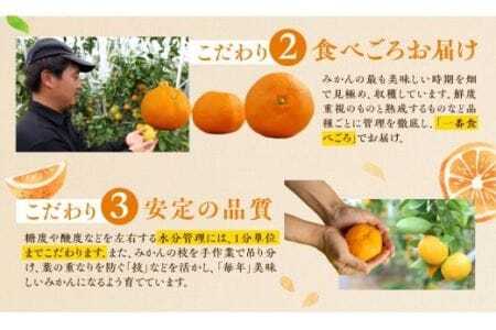 ≪今が旬!≫ 濃厚ハウスみかん『蜜ツ星』秀品 800g(Sサイズ10玉) みかん