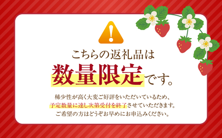 ≪先行予約≫ 大粒イチゴ 約1000g (平トレー250g×4P) イチゴ 大粒 甘い 果物 フルーツ いちご 苺 イチゴ