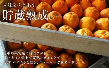 ≪先行予約≫ 完熟しらぬい『甘熟デコ』厳選プレミアム レギュラー箱 ４kg デコポン