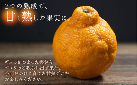 ≪先行予約≫ 完熟しらぬい『甘熟デコ』厳選プレミアム　黒の化粧箱（大）2kg デコポン