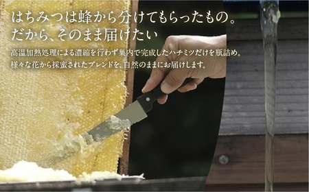 豊橋蜂蜜【kosaji】春はちみつ１５０ｇ＋１００ｇ瓶入りセット はちみつ はちみつ