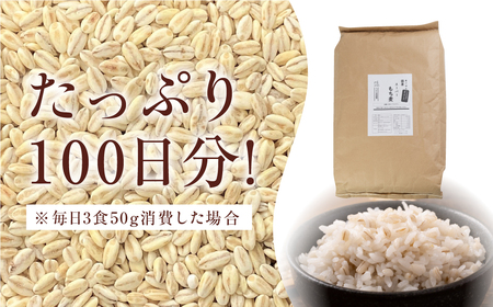 豊橋産スーパーもち麦 5kg もち麦