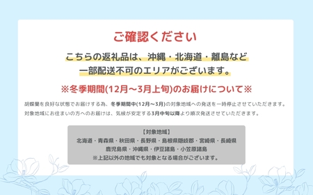 産直胡蝶蘭『ミディ』白３本立ち２１輪 胡蝶蘭   胡蝶蘭                                                                                      