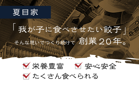 夏目家の『丸もち餃子3種食べくらべ(ピリ辛、チーズ、プレーン)』 (各24個×1袋 計3袋)