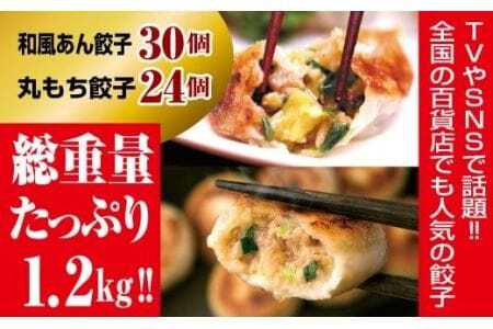 夏目家の『和風あん餃子』30個と『丸もち餃子』24個の食べくらべセット                                                                                                                                                                                                          