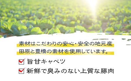 夏目家の『和風あん餃子』30個と『丸もち餃子』24個の食べくらべセット                                                                                                                                                                                                          