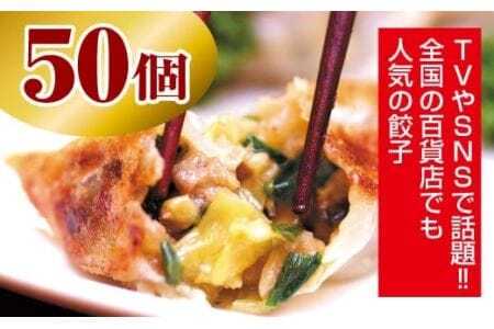 夏目家の『和風あん餃子』50個 餃子