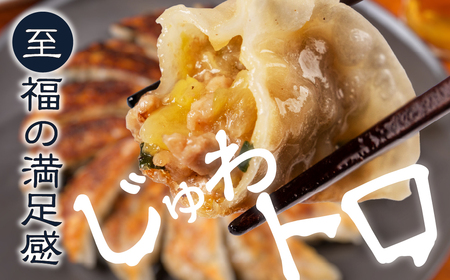 夏目家の『和風あん餃子』50個 餃子