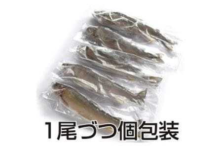 豊橋の新鮮な地下水の流れの中で健康に育てた『しずかのあゆ』冷凍10尾セット
