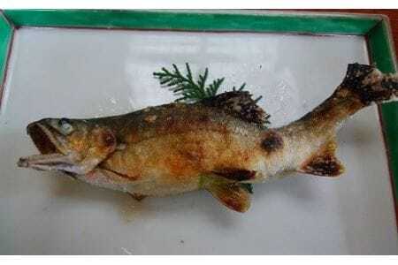 豊橋の新鮮な地下水の流れの中で健康に育てた『しずかのあゆ』冷凍10尾セット