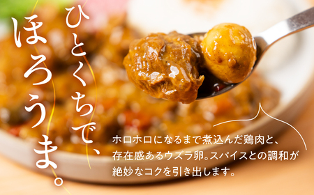豊橋産の食材を詰め込んだ『豊橋チキンカレー』（10個セット）