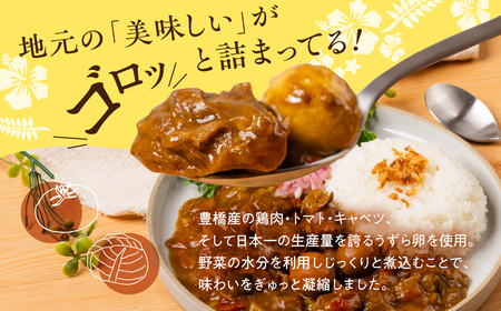 豊橋産の食材を詰め込んだ『豊橋チキンカレー』（10個セット）