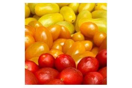 【先行予約】農業王国豊橋の『究極のミニトマト６種MIX』１kgバラトマト ミニトマト トマト ミニトマト 