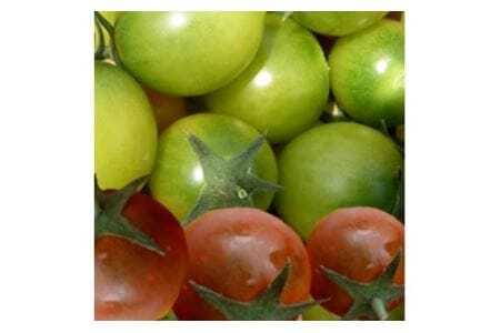 【先行予約】農業王国豊橋の『究極のミニトマト６種MIX』１kgバラトマト ミニトマト トマト ミニトマト 