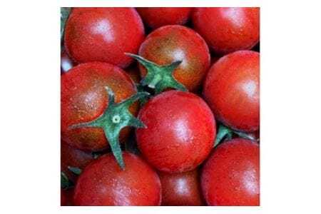 【先行予約】農業王国豊橋の『究極のミニトマト６種MIX』１kgバラトマト ミニトマト トマト ミニトマト 