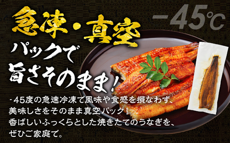 【年内お届け】ふっくら肉厚!『国産うなぎ』蒲焼 特大 4尾 うなぎ