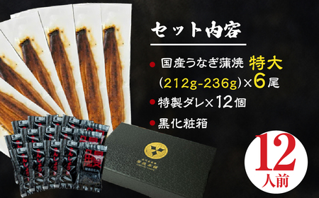 ふっくら肉厚！『国産うなぎ』蒲焼 特大 6尾 うなぎ