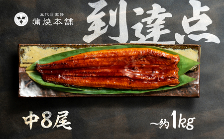 ふっくら肉厚!『国産うなぎ』蒲焼 中 8尾 うなぎ