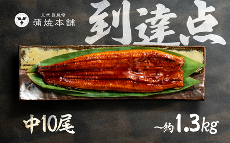 ふっくら肉厚!『国産うなぎ』蒲焼 中 10尾 うなぎ 蒲焼