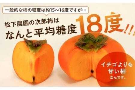 ≪先行予約≫ 次郎柿 平箱(約20~25個)