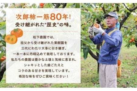 ≪先行予約≫ 次郎柿 平箱(約20~25個)
