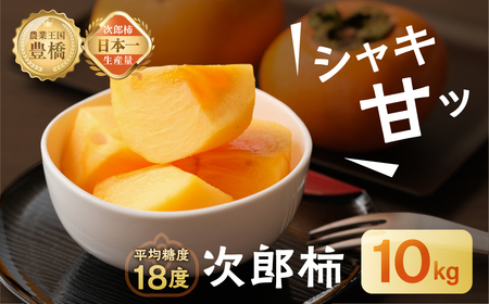 ≪先行予約≫ 次郎柿 10kg 　