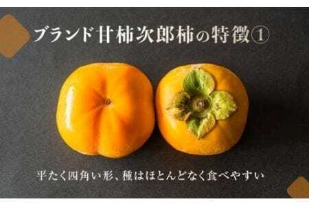 ≪先行予約≫ 次郎柿 10kg 　