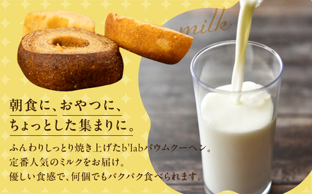 バームクーヘン ご自宅用 3kg (300g× 10袋 ) バームクーヘン