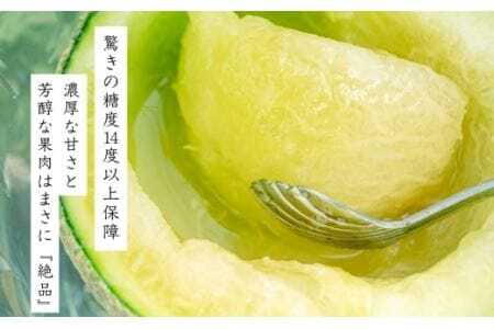 《先行予約》最高級 糖度保証付き アールスメロン 2玉 1.8kg以上