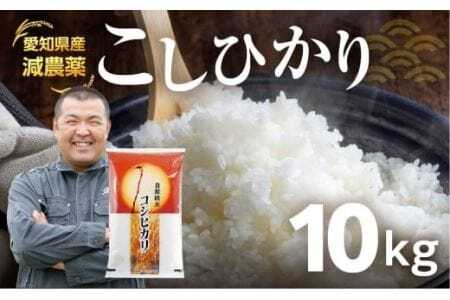 《令和6年産・新米》 愛知県産 農薬節減 こしひかり 10kg                                                                                  