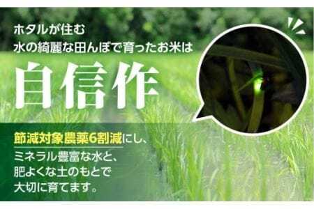 《令和6年産・新米》 愛知県産 農薬節減 こしひかり 10kg                                                                                  