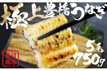 極上 豊橋うなぎ 白焼 5尾 750g 夏目商店