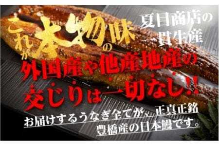 極上 豊橋うなぎ 蒲焼 カット 500g 夏目商店                             