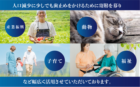 返礼品無しの寄附 50000円     返礼品無し 