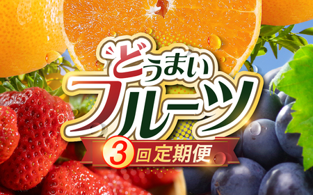 どうまい フルーツ 定期便 全3回 いちご みかん メロン  紅ほっぺ ゆめのか  ミカン マスクメロン めろん 果物 フルーツ 旬 先行予約　3回定期便