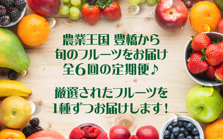 どうまい フルーツ 定期便 全6回 フルーツ定期便 (いちご / メロン / シャインマスカット / 梨 / 柿 / みかん ) フルーツ定期便 頒布会 お楽しみ定期便 6回定期便