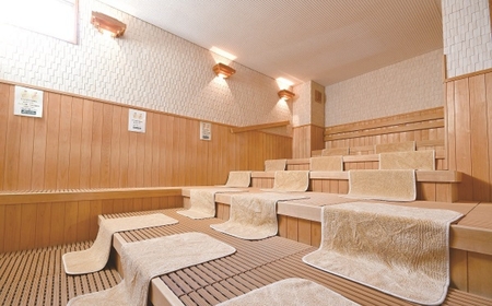 ゆのゆTOYOHASHI 入館券　10枚