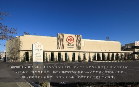 ゆのゆTOYOHASHI 入館券　10枚
