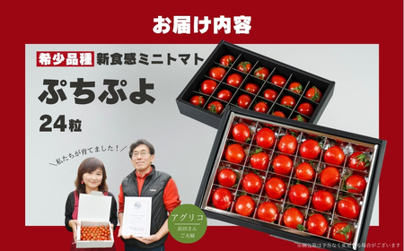 《先行予約》希少品種 ぷちぷよ 24粒 ミニトマト 高糖度 こだわり トマト プチトマト