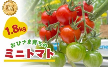 【先行予約】おひさま育ちのミニトマト　1.8kg