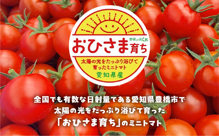 【先行予約】おひさま育ちのミニトマト　1.8kg