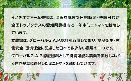【先行予約】おひさま育ちのミニトマト　1.8kg