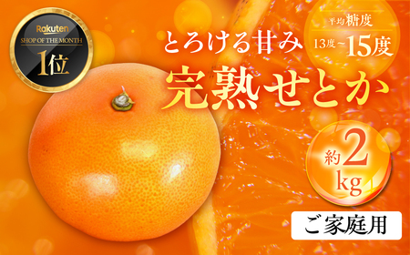 ≪先行予約≫ 大トロみかん『木熟せとか』家庭用　バラ詰め　約2kg　