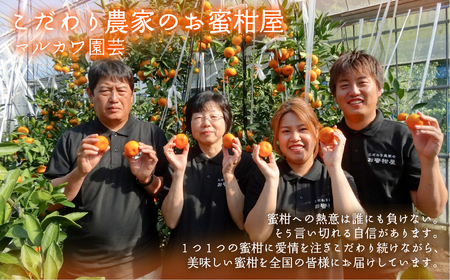 ≪先行予約≫大トロみかん『木熟せとか』家庭用　バラ詰め　約2kg　