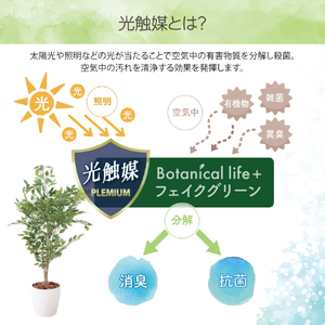 フェイクグリーン ベンジャミン 130cm 光触媒加工 鉢付き インテリア 抗菌 消臭 愛知県 豊橋市 送料無料 52000円