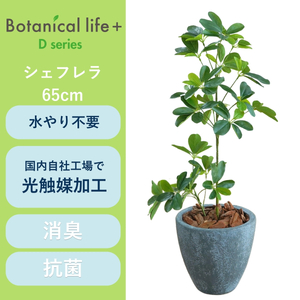 フェイクグリーン Botanical life+ Dシリーズ シェフレラ 65cm 光触媒加工 鉢付き インテリア 抗菌 消臭 愛知県 豊橋市 送料無料 41000円