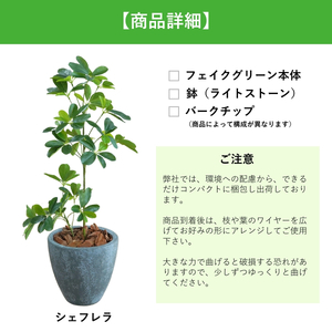 フェイクグリーン Botanical life+ Dシリーズ シェフレラ 65cm 光触媒加工 鉢付き インテリア 抗菌 消臭 愛知県 豊橋市 送料無料 41000円