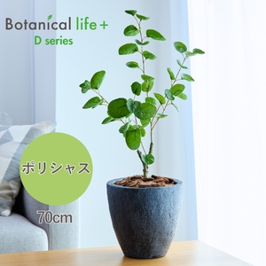 フェイクグリーン Botanical life+ Dシリーズ ポリシャス 70cm 光触媒加工 鉢付き インテリア 抗菌 消臭 愛知県 豊橋市 送料無料 35000円